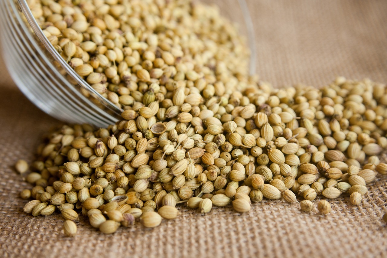 Coriander Seeds Image